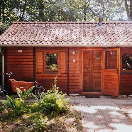 Sfeervolle Blokhut Met Fijne Buitenruimte @ Veluwe Epe Extérieur photo