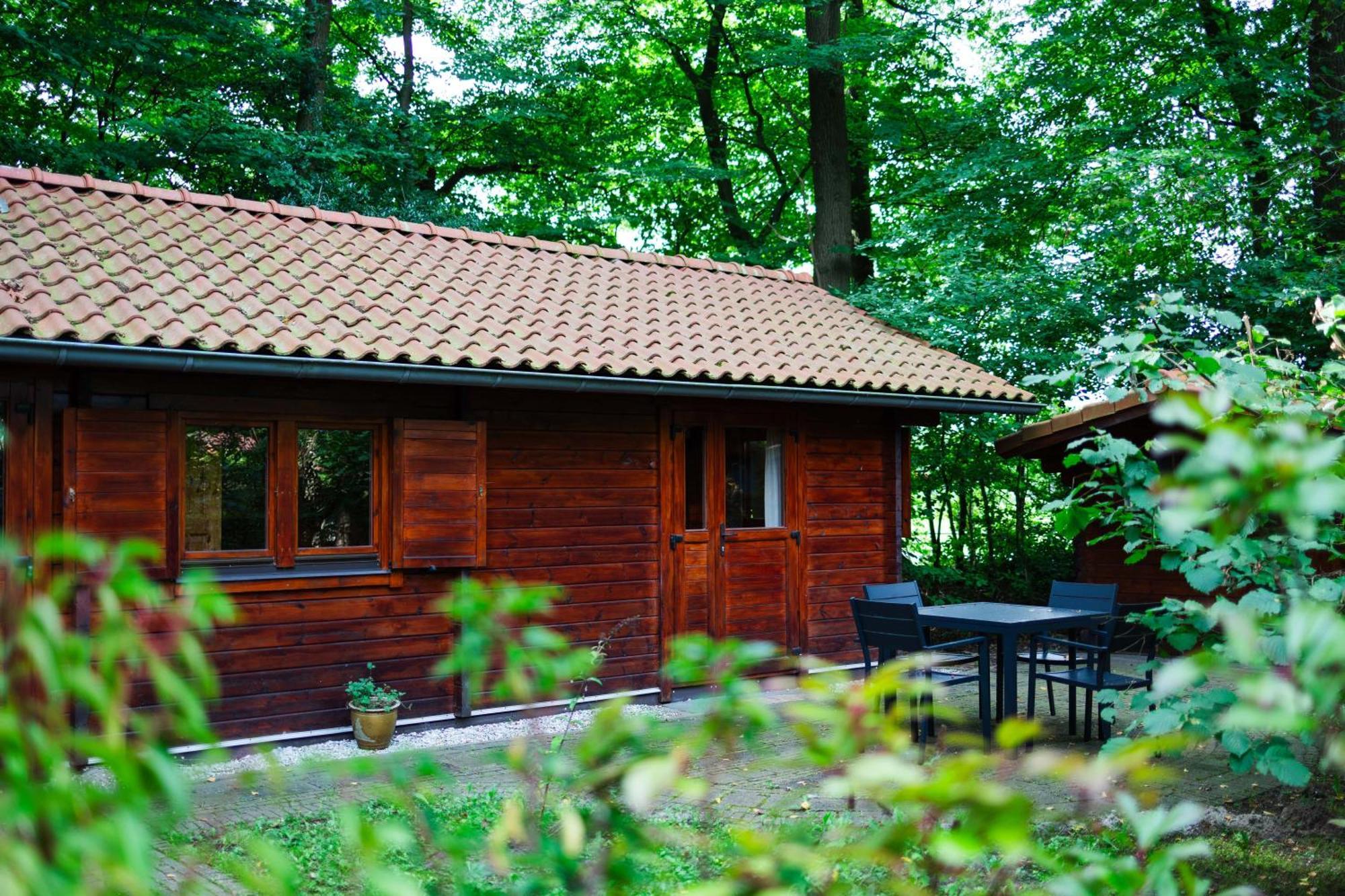 Sfeervolle Blokhut Met Fijne Buitenruimte @ Veluwe Epe Extérieur photo